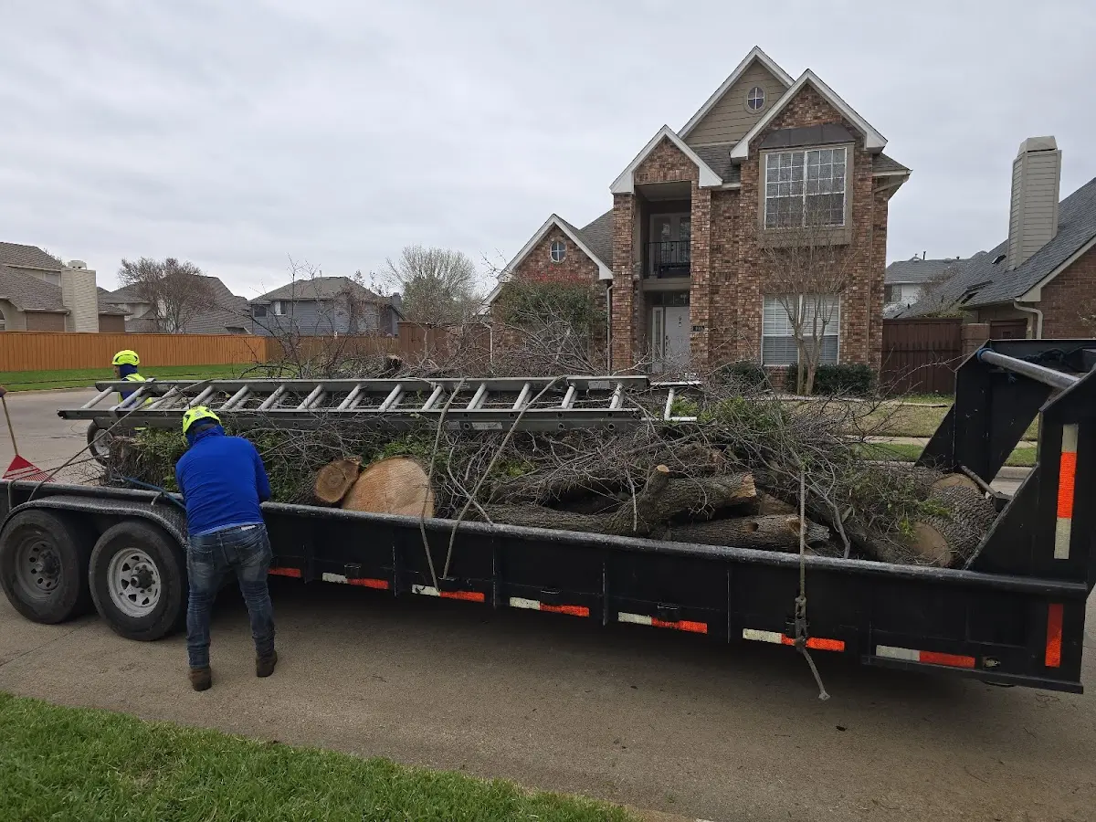 Expert Lot Clearing with proper safety equipment in Mc Leod